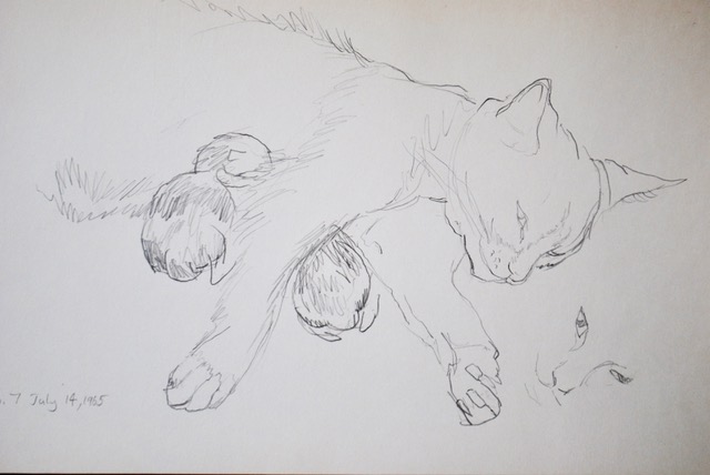 Mother Cat Nursing Newborn Kittens, July 14, 1965, graphite, 6.5 x 10.5