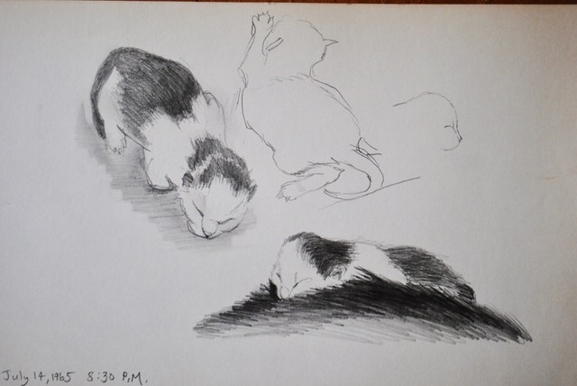Newborn Kittens, Eyes Still Closed, Exploring, Sleeping, July 14, 1965, graphite, 6.5 x 10.5