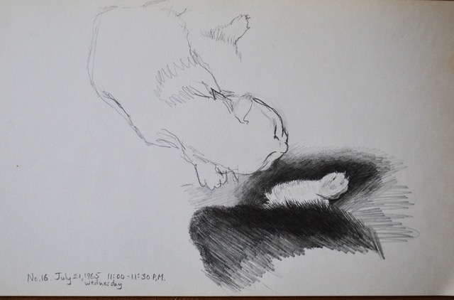 Newborn Kitten, Head and Hind Leg, July 21, 1965, graphite, 6.5 x 10.5