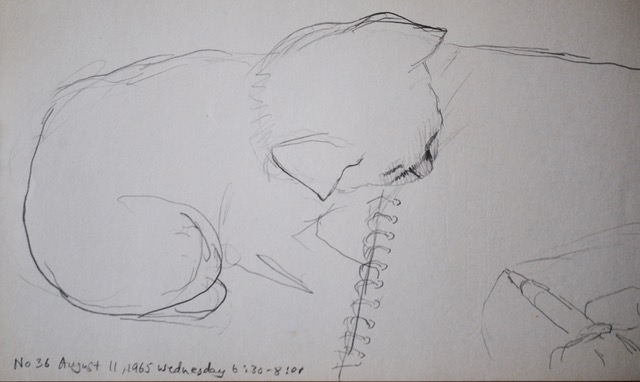 Kitten Watching Me Draw, Attracted by the Scratching Sound of the Pencil, August 11, 1965, graphite, 6.5 x 10.5