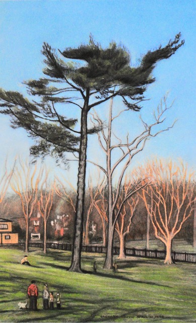 Pine Tree in Mellon Park, April 22, 1970, pastel, 16 x 10