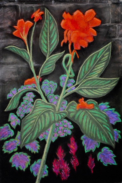 Canna, 2024, pastel, 17.5x12