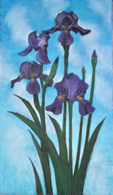Iris, 2024, pastel, 27.75x16