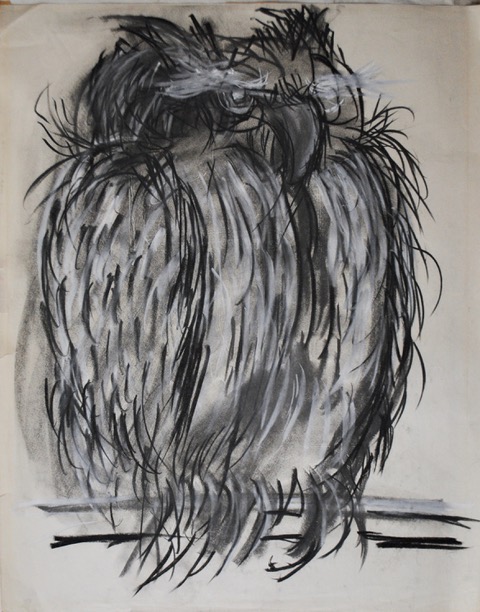Self-portrait as an Owl, 1963, black and white chalk, 19 x 24