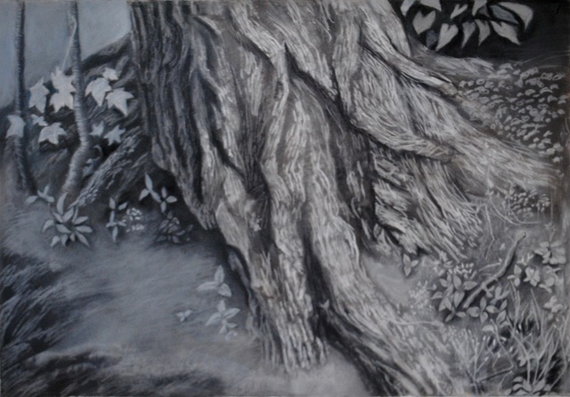 Tree Trunk, 1962, pastel, 20.5 x 30