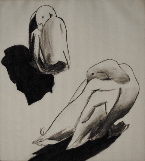 Downey Duck, Bill Under Wing, Twice, 1959, charcoal, 10.75 x 9.75