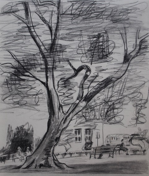 Tree in a D.C. Square, 1959, charcoal, 11 5/8 x 10 3/8