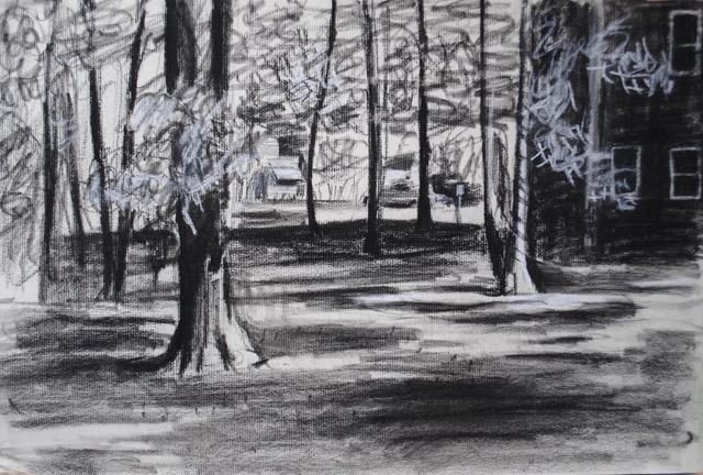 Side Yard, Smith Residence, Arlington, Va., 1959, charcoal and white chalk, 11.75 x 17.75